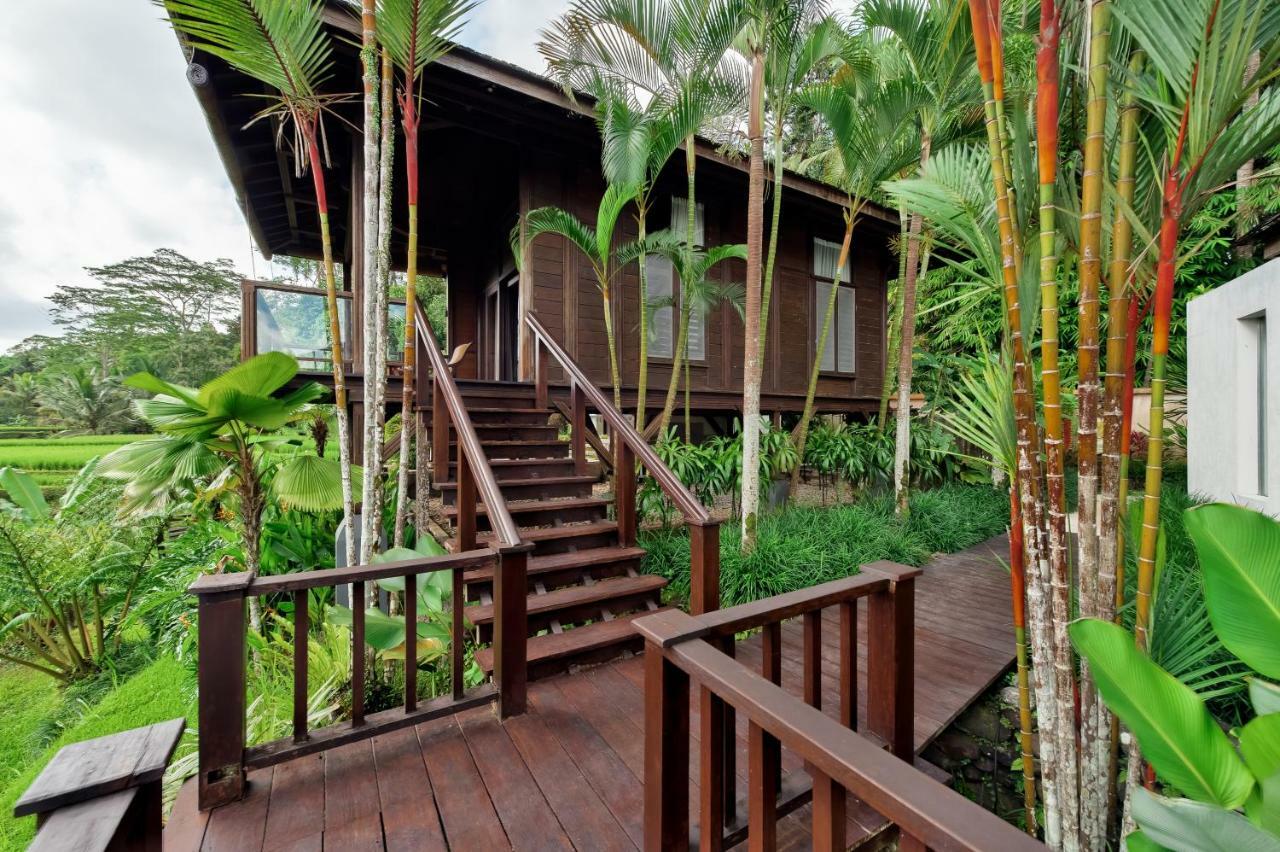 Villa Kembang Bali Ubud Kültér fotó