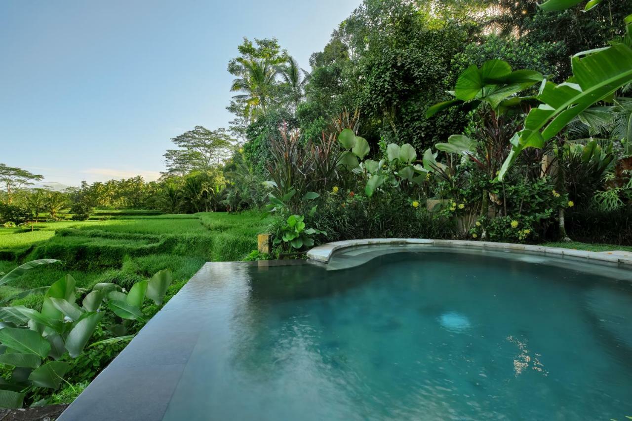 Villa Kembang Bali Ubud Kültér fotó